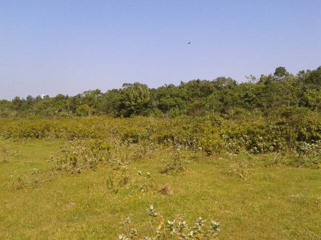 Área para Venda em Praia Grande - 5